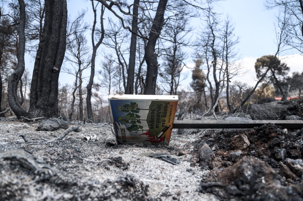 Εύβοια – φωτιά: Τεράστια οικολογική καταστροφή (Σκληρές εικόνες)