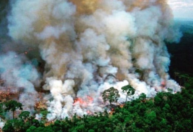 Διακόπηκε ματς λόγω φωτιάς και καπνού στη Βραζιλία (Video)