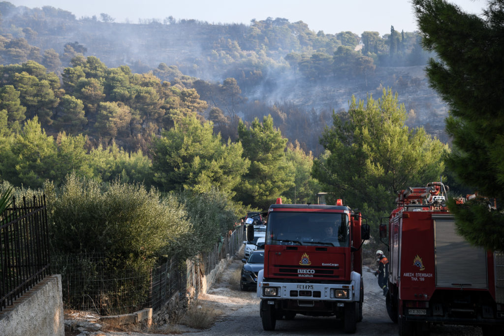 Πυρκαγιά Νέα Μάκρη: Στα χέρια της ΕΛ.ΑΣ το προφίλ του εμπρηστή