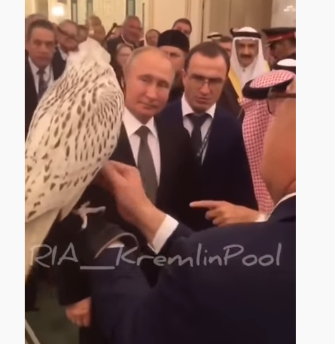 Το ξεχωριστό δώρο του Πούτιν στον Σαουδάραβα βασιλιά και το απρόοπτο (Video)