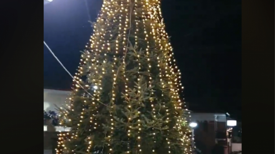 Ταξιάρχης Χαλκιδικής: Το χωριό των Χριστουγεννιάτικων δέντρων άναψε το πρώτο έλατο (Video)
