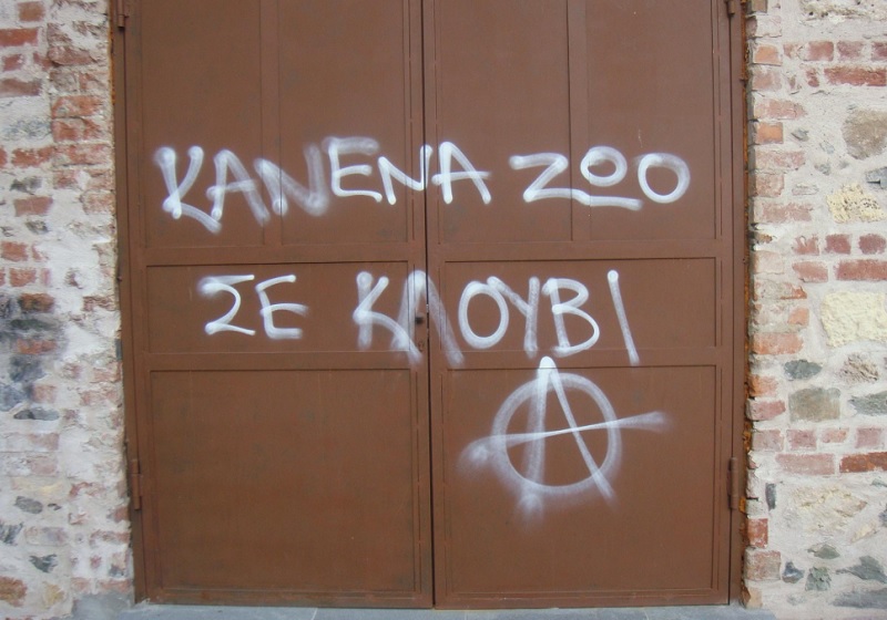 Θεσσαλονίκη: Αντιεξουσιαστές κατά κλαμπ που είχε σκύλους σε κλουβιά