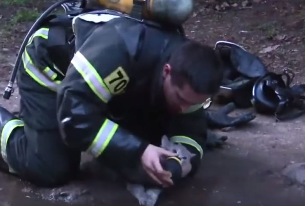 Πυροσβέστης σώζει γάτα δίνοντας της από το οξυγόνο του (Video)