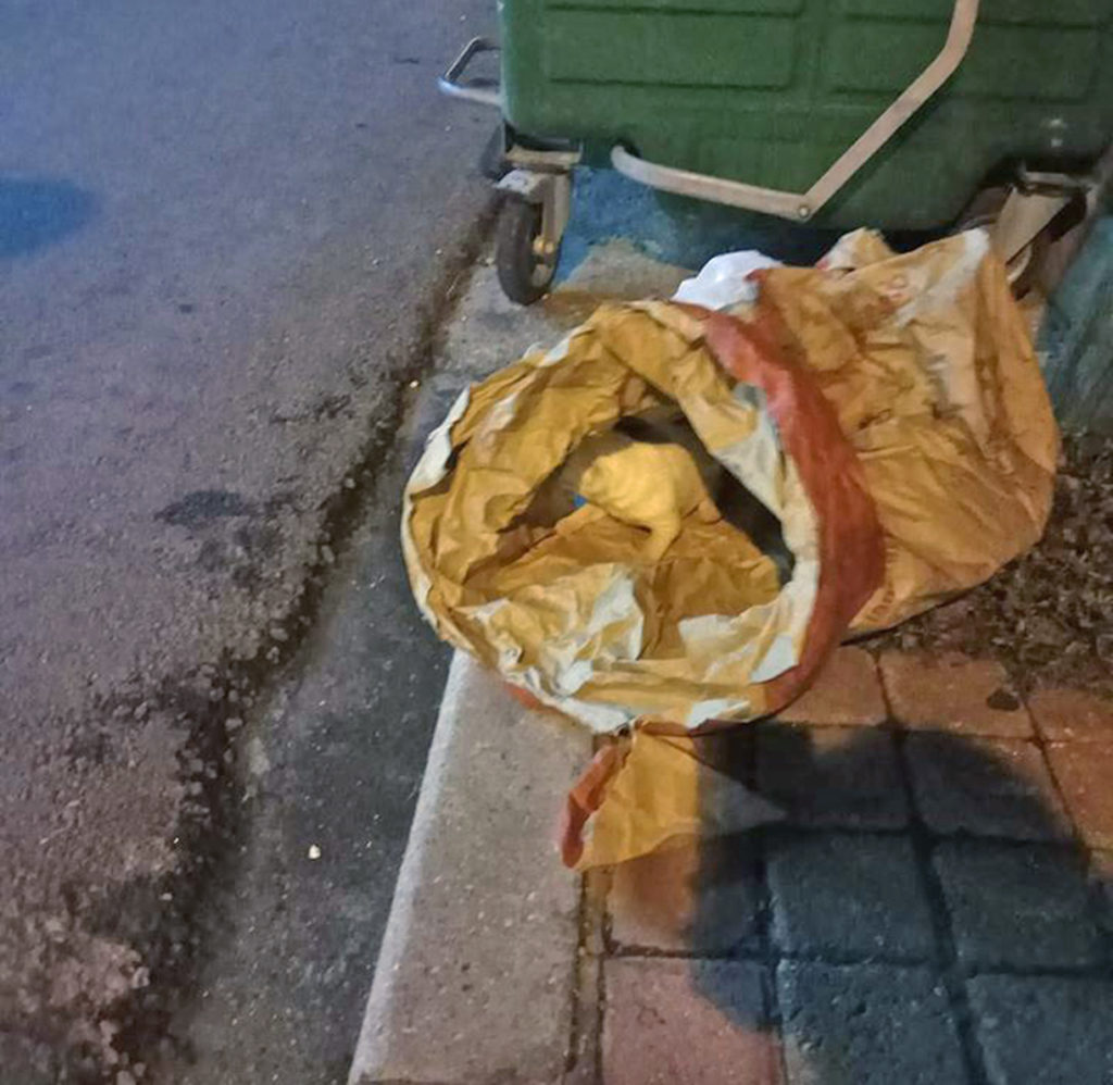 Καβάλα: Πέταξαν στα σκουπίδια κουτάβια κλεισμένα σε χαρτοσακούλα