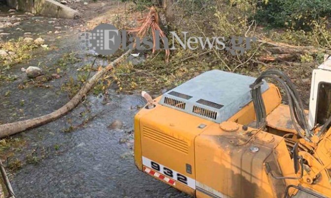 Κρήτη: Δέντρο καταπλάκωσε 67χρονο
