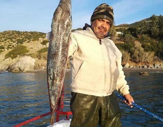 Κρήτη: Ένας τεράστιος λαγοκέφαλος στα δίχτυα ψαρά