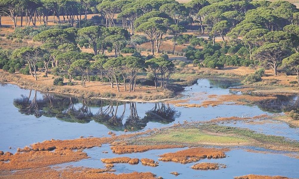 Σκηνές Φαρ Ουέστ στο Εθνικό Πάρκο Κοτυχίου – Στροφυλιάς: Δολοφονική επίθεση λαθροθήρα κατά οικολόγων