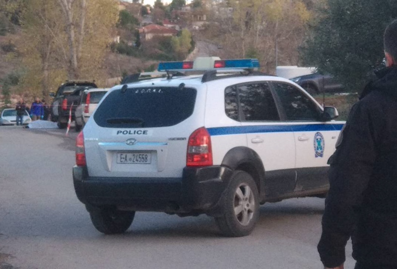 Στα χέρια της ΕΛΑΣ συμμορία οπλισμένων ζωοκλεφτών – ανταλλαγή πυροβολισμών στα ελληνοαλβανικά σύνορα
