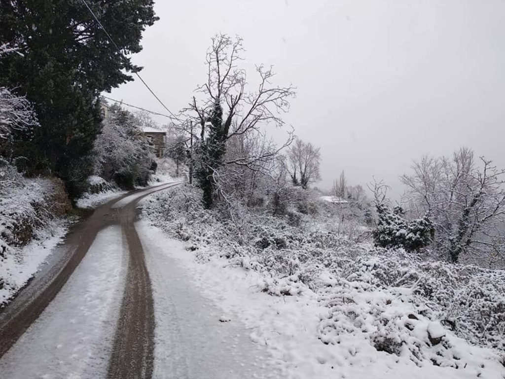 Χωρίς ρεύμα χωριά της Θήβας: Πυκνή η χιονόπτωση – Που χρειάζονται αλυσίδες