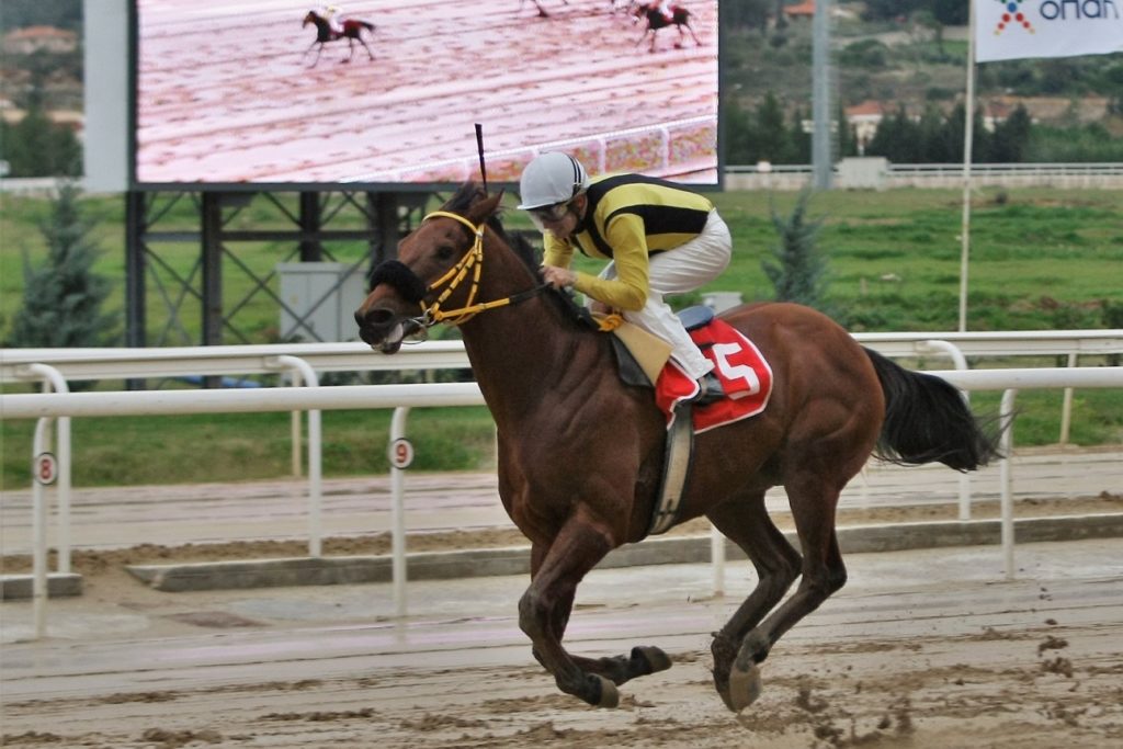 Markopoulo Park: Αυλαία στο 2019 με μεγάλα κέρδη στο ΣΚΟΡ 6