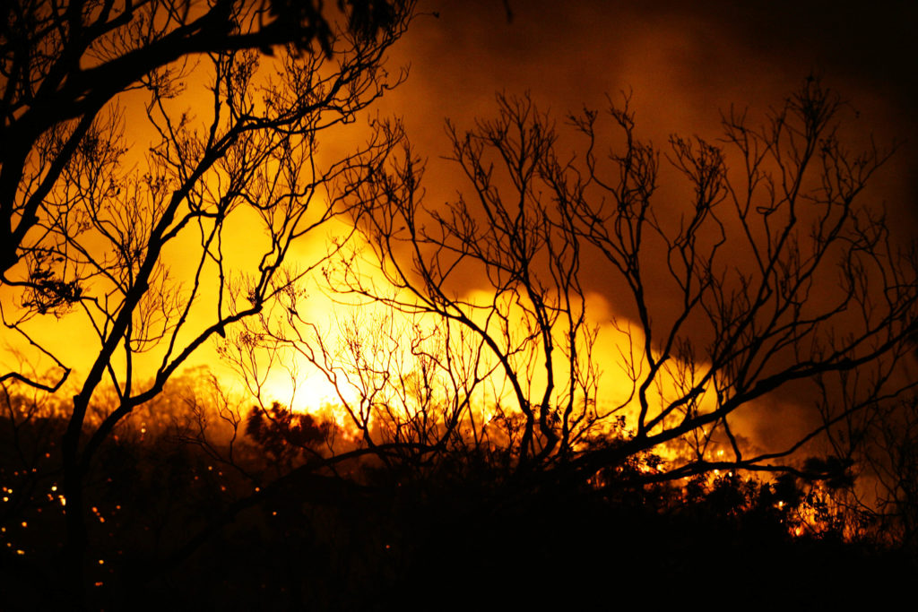 Αυστραλία: Εθελοντής πυροσβέστης κατηγορείται ότι έβαλε σκοπίμως φωτιές