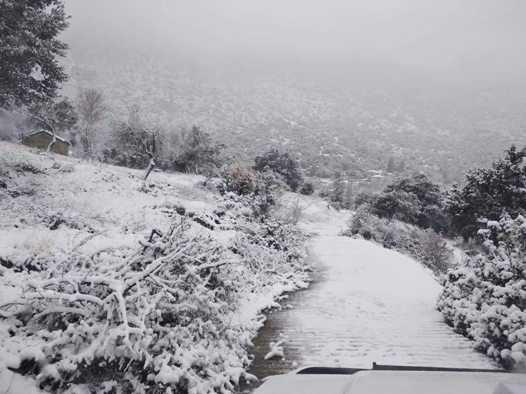 Εύβοια: «Θαμμένοι» στο χιόνι χωρίς ρεύμα οι κάτοικοι στο χωριό Σέττα
