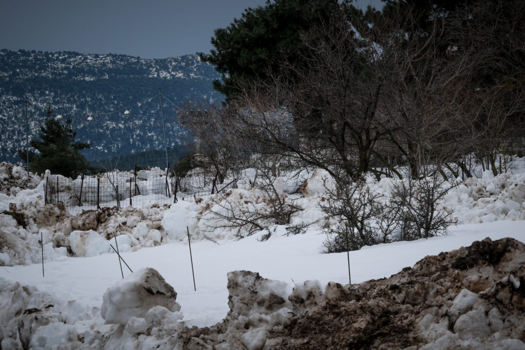 Προβλήματα σε όλη τη χώρα από την επέλαση του «Ηφαιστίωνα» – Κλειστοί δρόμοι και απαγορευτικό απόπλου