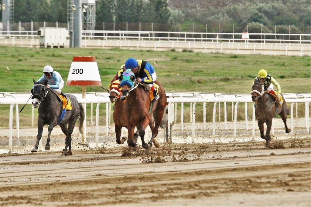 Markopoulo Park: Σημαντικά κέρδη για 15 νικητές του ΣΚΟΡ 6 στην πρώτη ιπποδρομιακή συγκέντρωση της χρονιάς