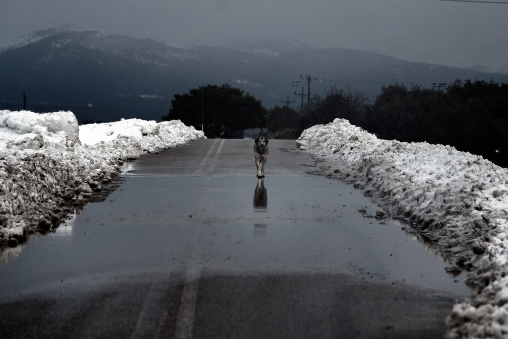 Υποχωρεί ο «Ηφαιστίωνας» – Σταδιακή βελτίωση του καιρού