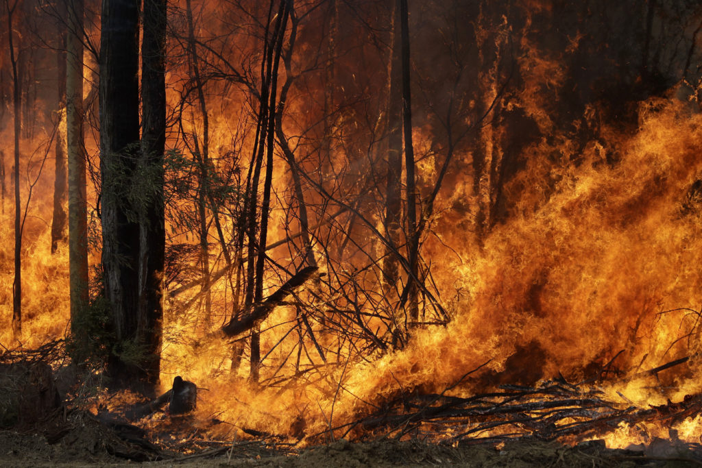 Αυστραλία: Τραγικός ο μέχρι σήμερα απολογισμός από τις πυρκαγιές – Νεκρός ένας ακόμα πυροσβέστης