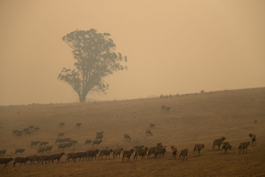 Αυστραλία: «Παράπλευρες απώλειες» δισεκατομμυρίων στον τουρισμό λόγω των πυρκαγιών