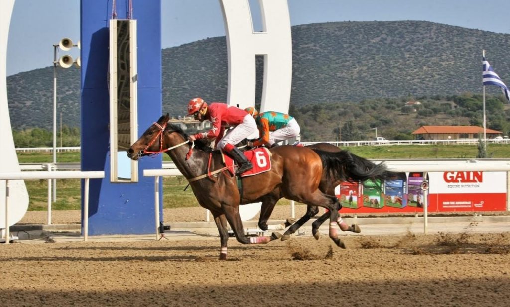 Εννέα ιπποδρομίες, τέσσερα ΣΚΟΡ και επιδότηση Γκανιάν την Κυριακή στο Markopoulo Park