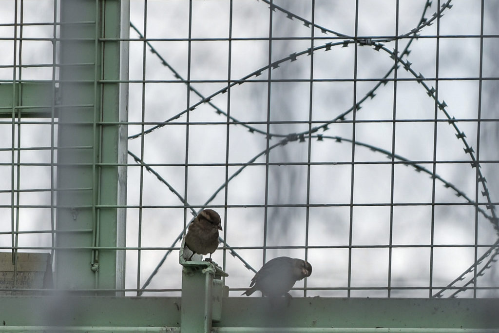 Άθλιες οι συνθήκες στις φυλακές Νιγρίτας – Επιστολή κρατουμένων σε Χρυσοχοΐδη (Video)