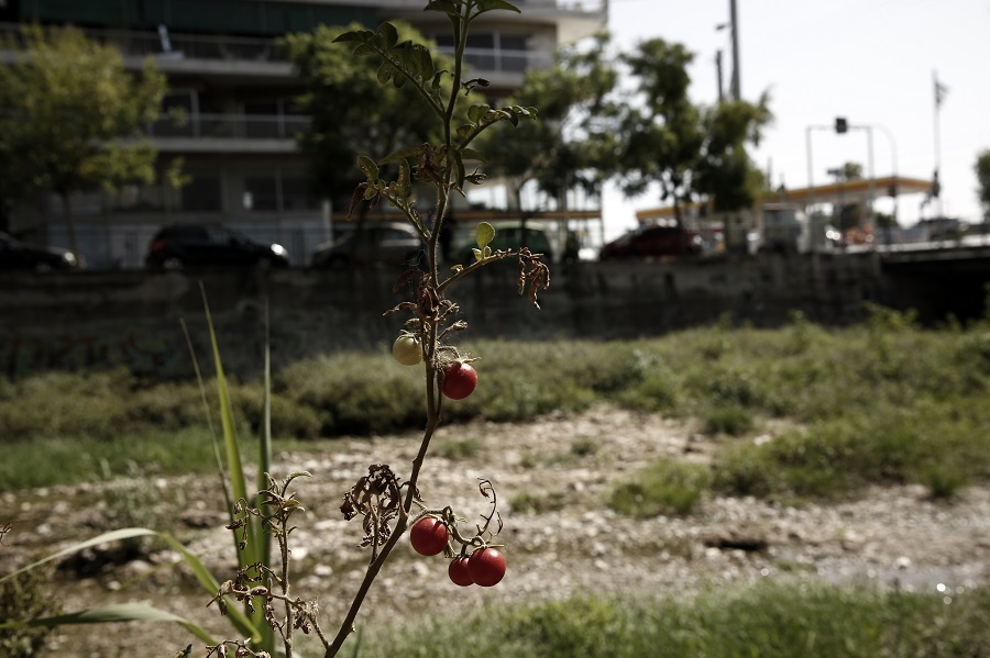 Συνέλαβαν συγγενή βουλευτή της ΝΔ στη Λάρισα για πιθανή βιομηχανική ρύπανση