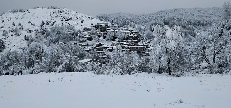 Πυκνές χιονοπτώσεις στα ορεινά της Ηπείρου – δώδεκα μηχανήματα στον αποχιονισμό (εικόνες)