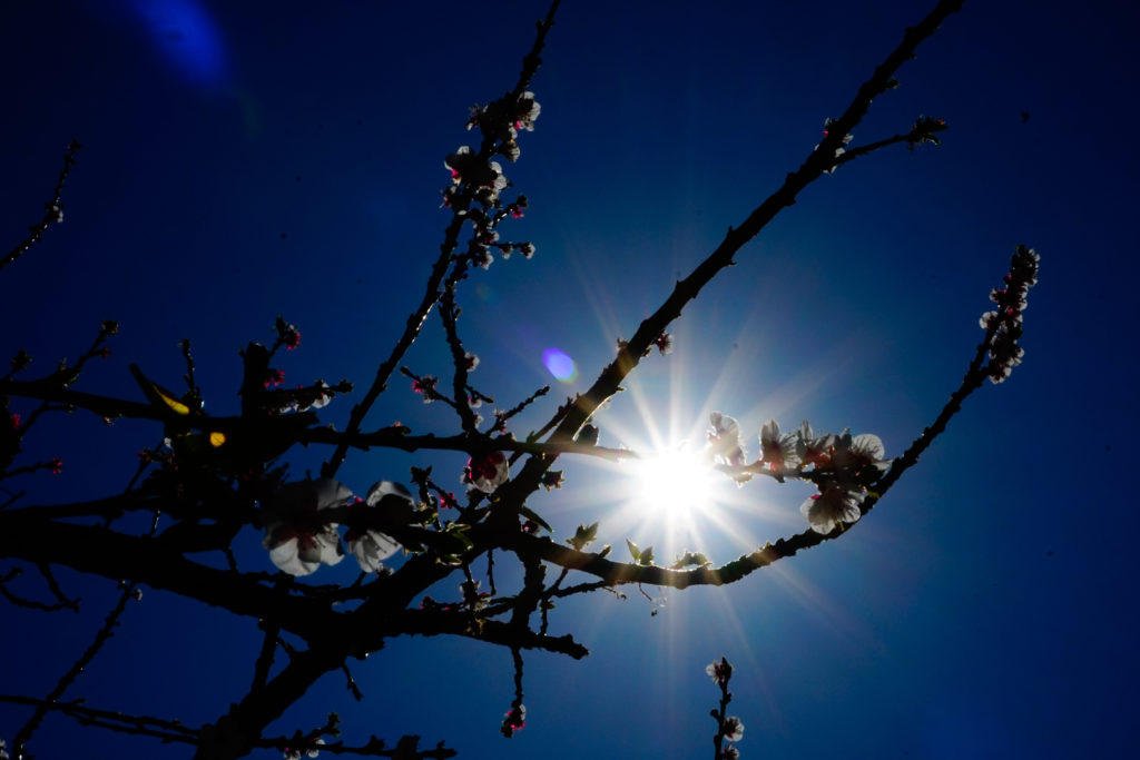 Ανοιξιάτικος ο καιρός σήμερα – Ηλιοφάνεια και άνοδος της θερμοκρασίας