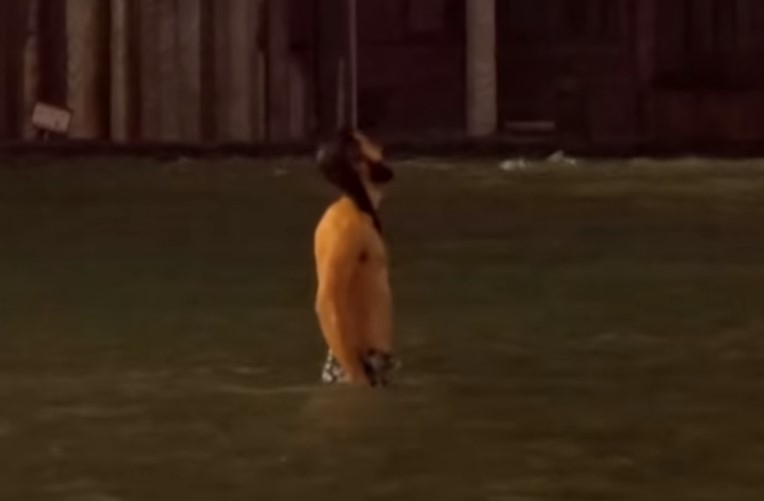 Βενετία: Βουτιές τολμηρού στην πλημμυρισμένη πλατεία του Αγίου Μάρκου (Video)