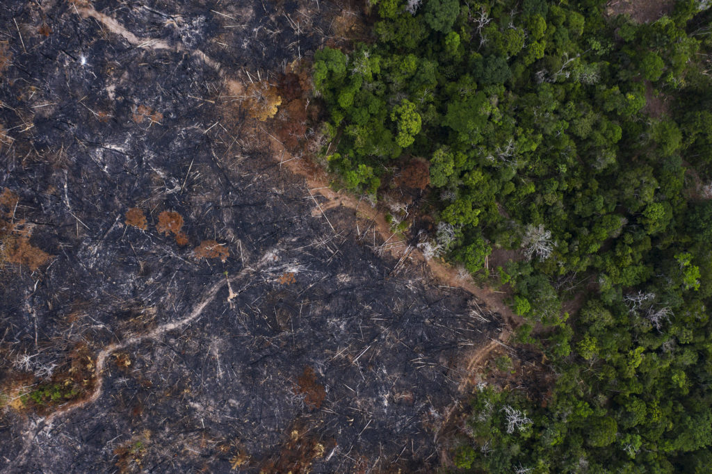 Βραζιλία: Στα ύψη η αποψίλωση του δάσους του Αμαζονίου τον Απρίλιο