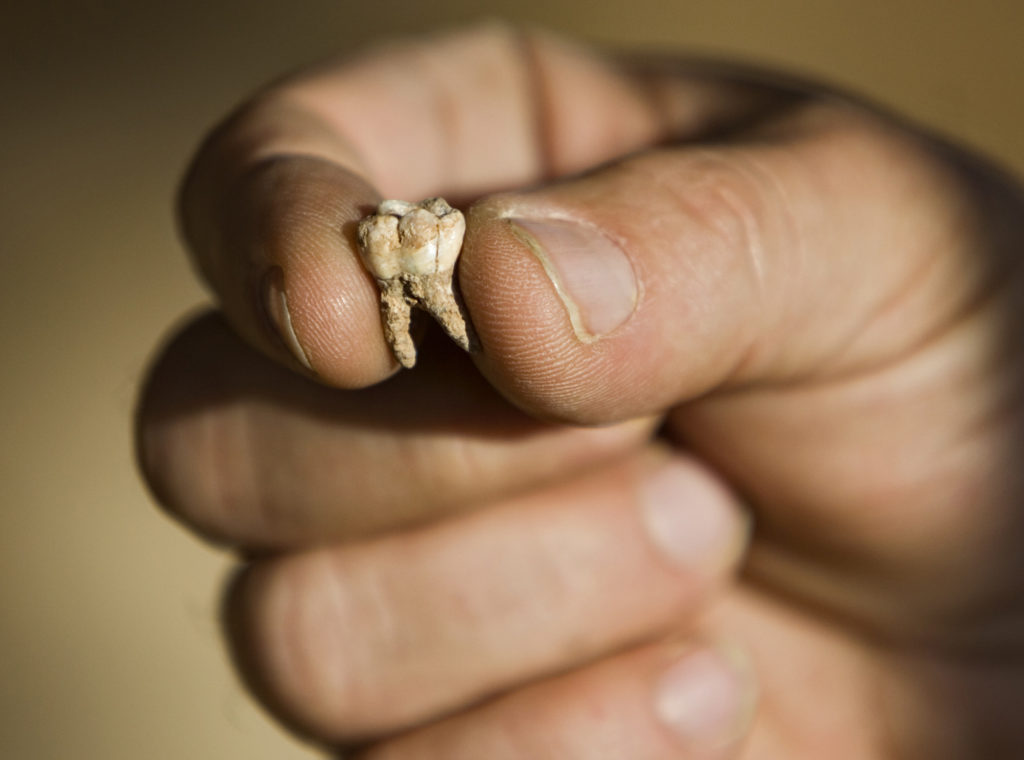 Βουλγαρία: Ανακαλύφθηκαν σε σπήλαιο απολιθώματα Homo sapiens ηλικίας 45.000 ετών