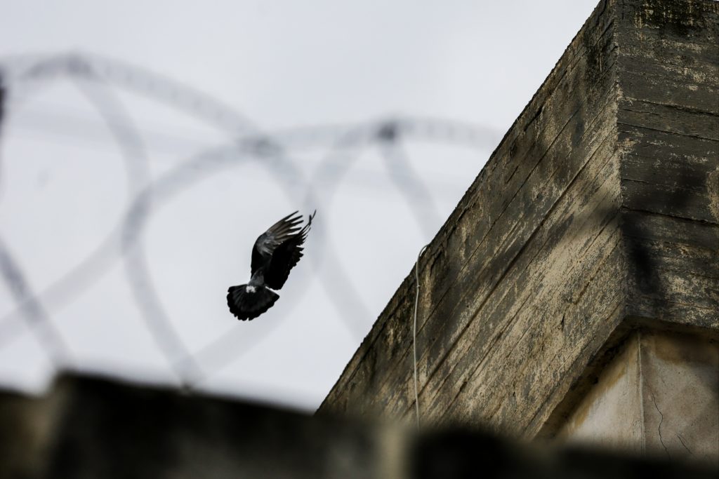 Αστυνομική επιχείρηση βίας στις φυλακές Νιγρίτας: Εγκαύματα, σπασμένα δάκτυλα και κακώσεις