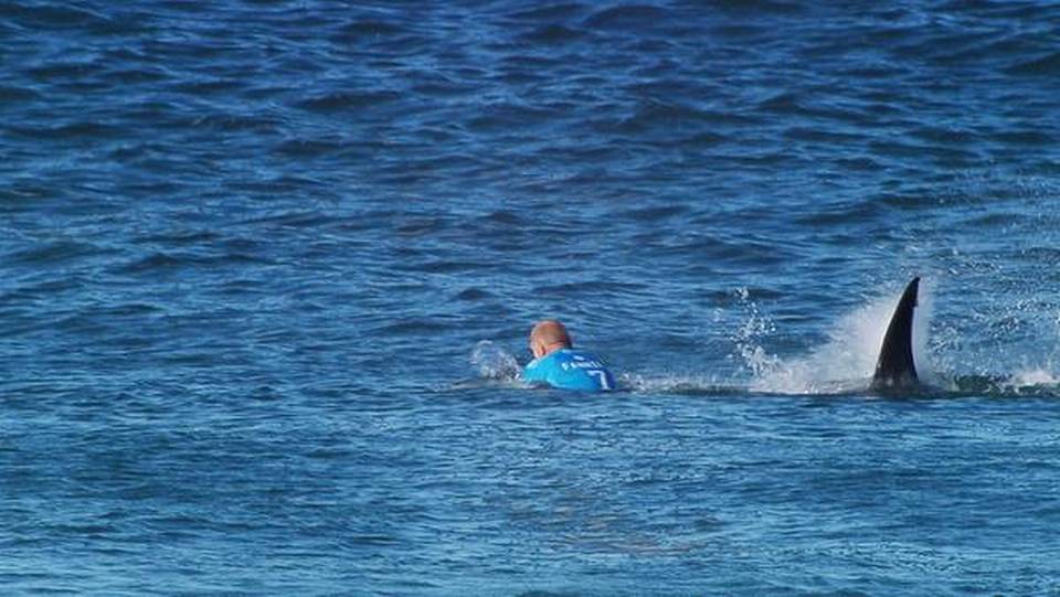 Αυστραλία: Νεκρός σέρφερ μετά από επίθεση καρχαρία τριών μέτρων