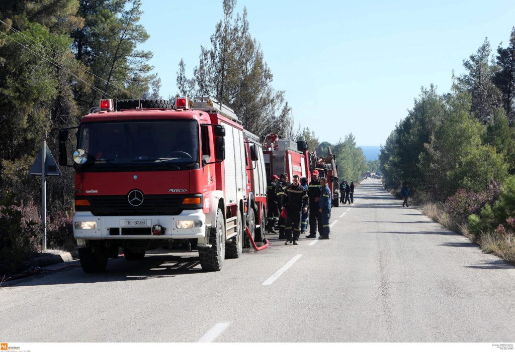 Χαλκιδική: Υπό μερικό έλεγχο η δασική πυρκαγιά στη Σιθωνία