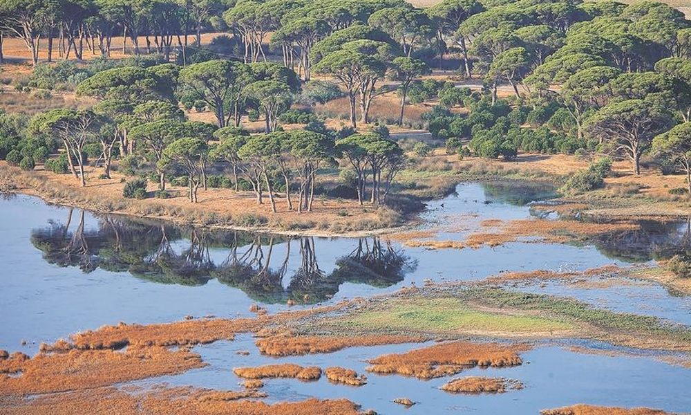 Θα παραχωρήσουν τις αμμοθίνες του Εθνικού Πάρκου Κοτυχίου – Στροφυλλιάς σε ιδιώτες;