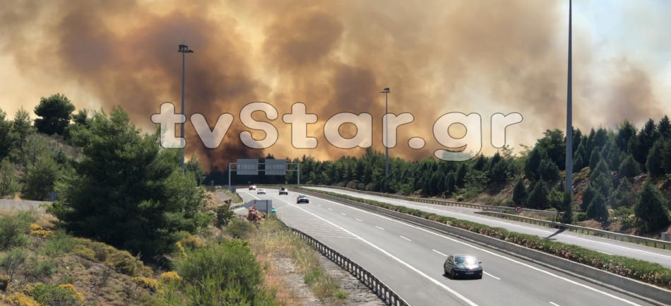 Μεγάλη φωτιά στο Μαρτίνο Φθιώτιδας – Διεκόπη η κυκλοφορία στην Εθνική Οδό