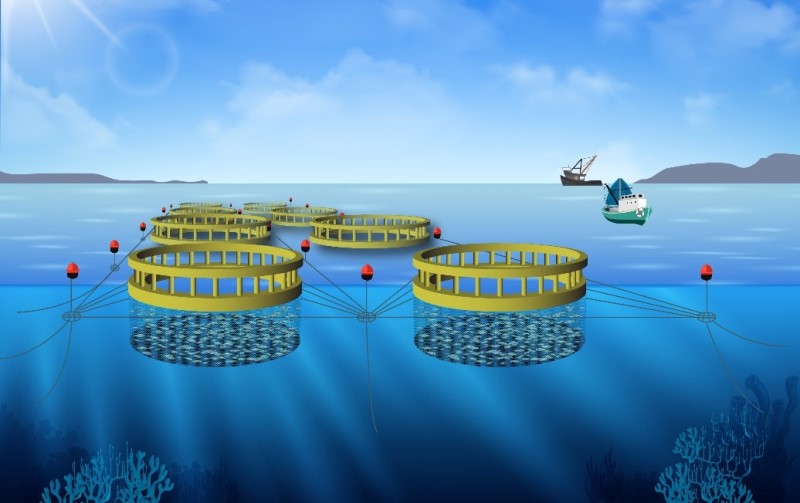 Πρωτοποριακό σύστημα υδατοκαλλιέργειας ανοιχτής θαλάσσης από το ΕΜΠ