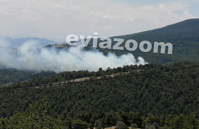 Εύβοια: Πυρκαγιά στην περιοχή Κυπαρίσσι