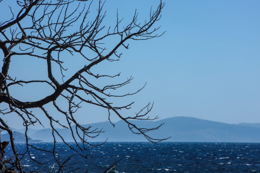 Δίωξη για κακούργημα ζητά ο ανακριτής για τη φωτιά στο Μάτι