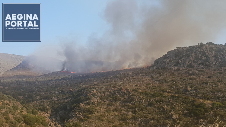 Φωτιά στην Αίγινα – Επί ποδός η Πυροσβεστική