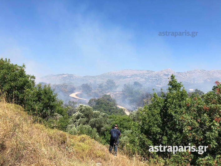 Σε ύφεση η φωτιά στη Χίο (Photos- Video)