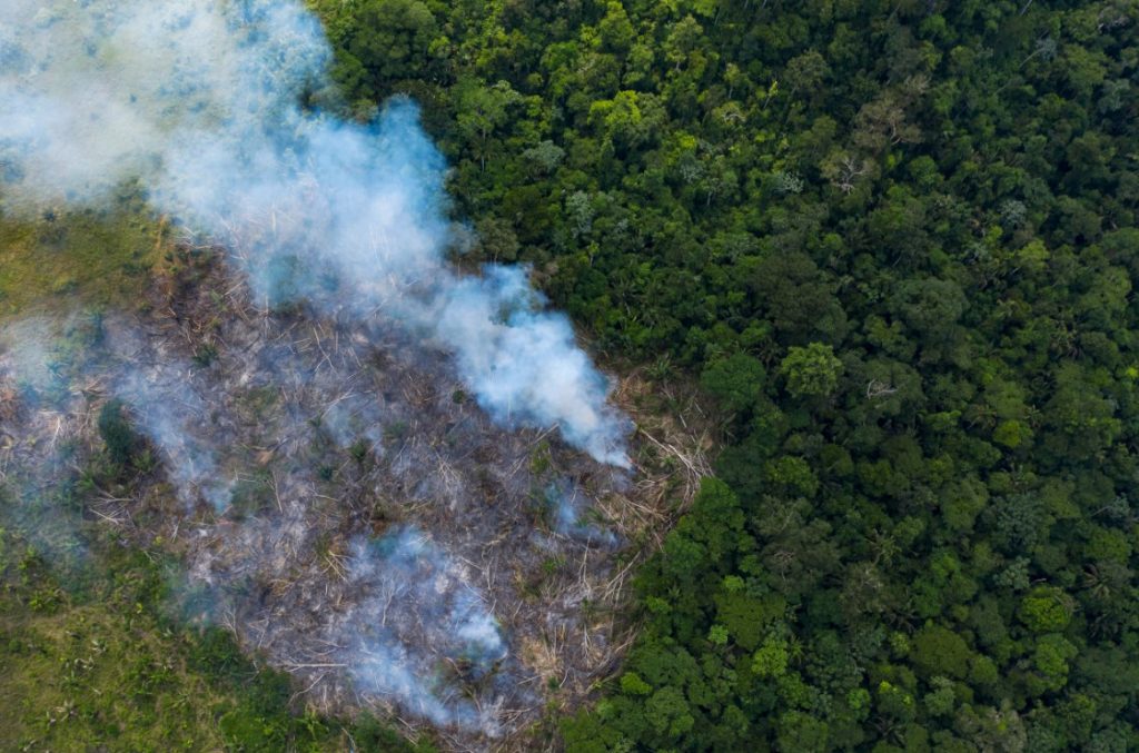 Βραζιλία: Ανυπολόγιστη η καταστροφή στο δάσος της Αμαζονίας το πρώτο εξάμηνο του 2020