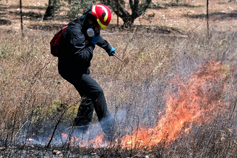 Nέο μέτωπο φωτιάς στη Ράχη της δυτικής Αχαΐας