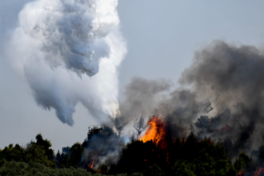 Κόρινθος: Εκτός ελέγχου η φωτιά στις Κεχριές – Εκκενώνονται ο οικισμός Δράσσα και η κατασκήνωση στο Σοφικό