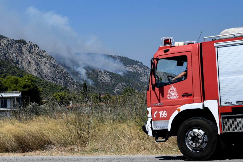 Στην τύχη τους τα δάση από την Κυβέρνηση Μητσοτάκη