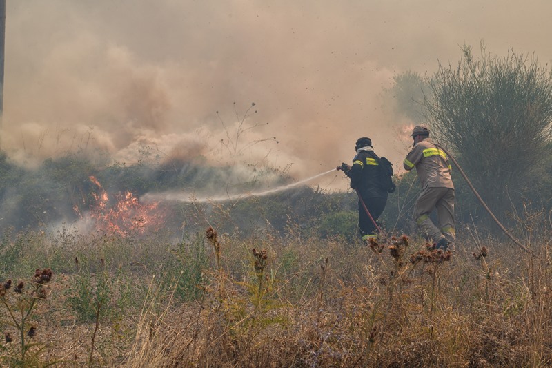 Ηλεία: Συνελήφθη άνδρας για τη φωτιά στο Γραμματικό – σε ύφεση τα μέτωπα στην Πελοπόννησο