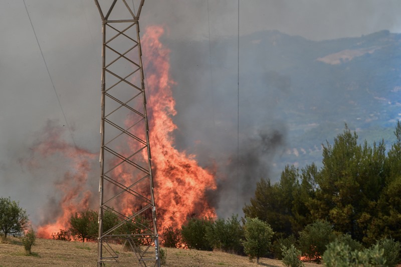 Δύο πυρκαγιές καίνε την Ηλεία