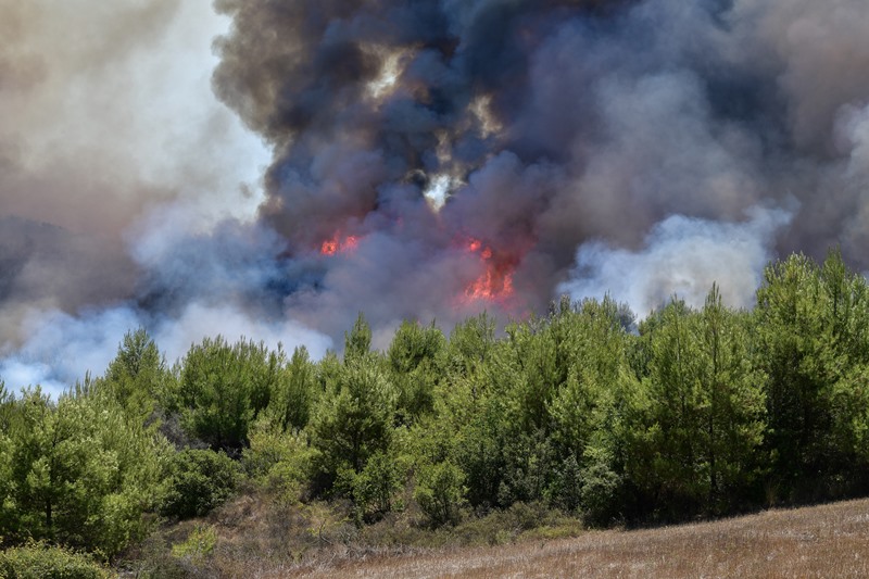 54 δασικές πυρκαγιές το τελευταίο 24ωρο