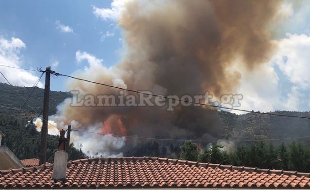 Φωτιά στην Αταλάντη –  Πολύ κοντά σε σπίτια (Photos – Video)