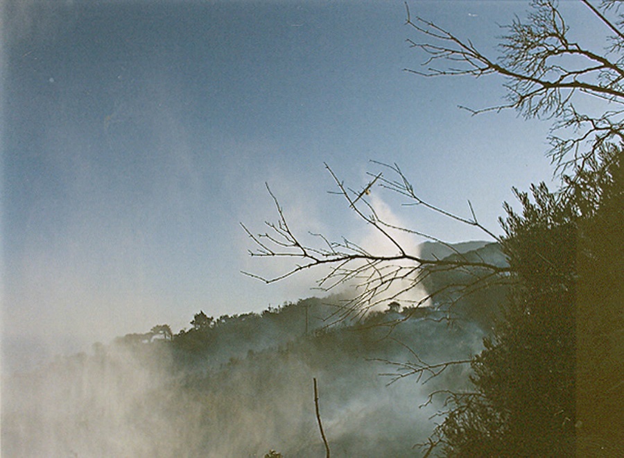 Σε εξέλιξη η πυρκαγιά σε δασική έκταση στο Μονοκάμπι Ικαρίας
