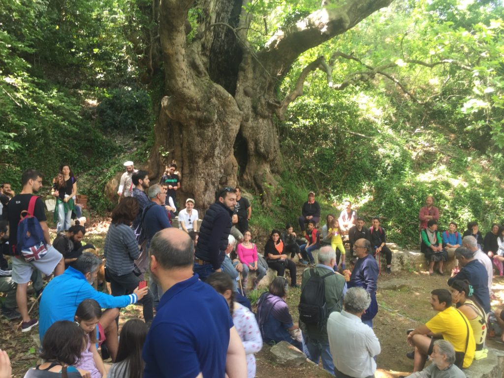 Οι Σταγιάτες κόντρα σε αυτό που βαφτίστηκε ανάπτυξη