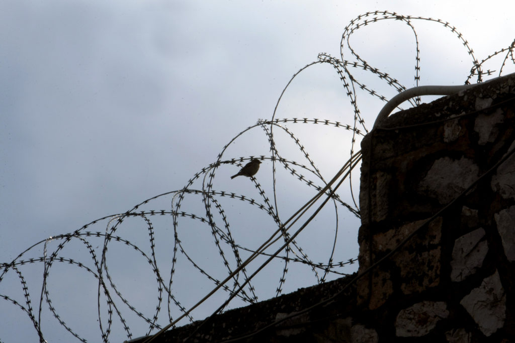Κραυγή αγωνίας κρατουμένων για τα μέτρα κατά του κορονοϊού: «Είναι σαν να μας καταδικάζετε ξανά, αυτή τη φορά σε θάνατο»